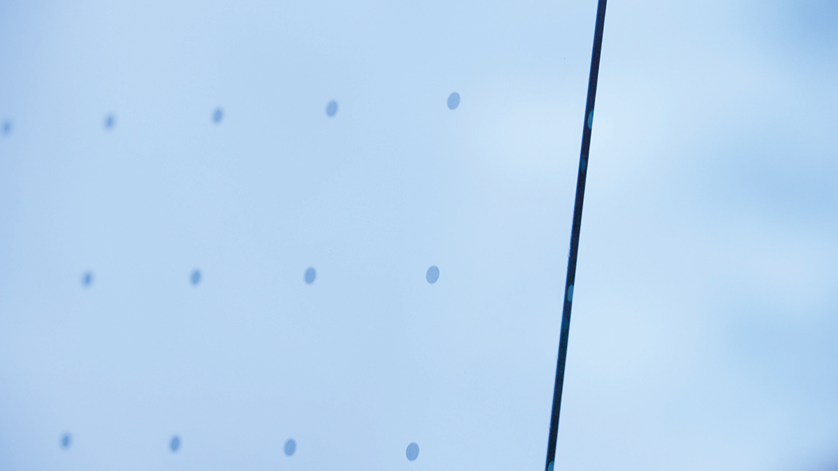 SoarSafe bird-friendly glass