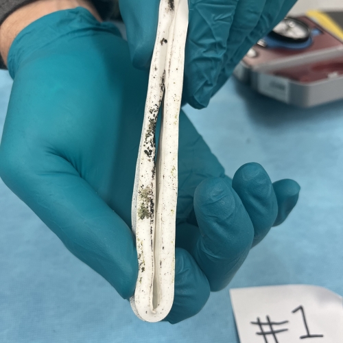 silicone testing example